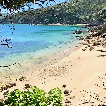 The Cliffs - Mfuxon * Viveiro